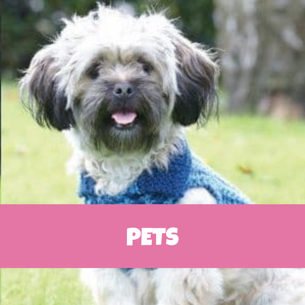 PDF Pets