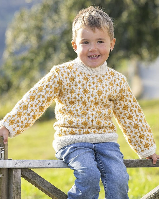 Viking Yarn Childrens Sweater Knitting Pattern in Viking Wool Idun DK 4-14aP PDF DOWNLOAD