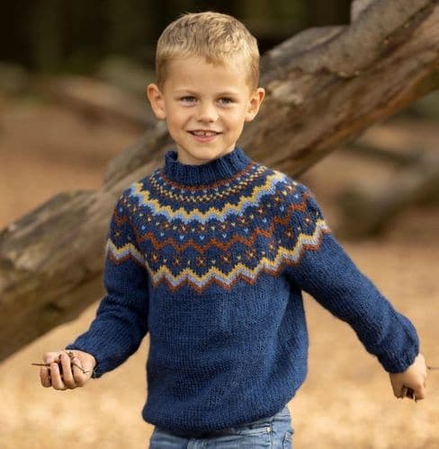 Viking Yarn Boys Sweater Knitting Pattern in Viking Wool 2332-1bP PDF DOWNLOAD