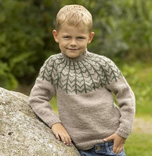 Viking Yarn Boys Sweater Knitting Pattern in Viking Wool 2332-6P PDF DOWNLOAD
