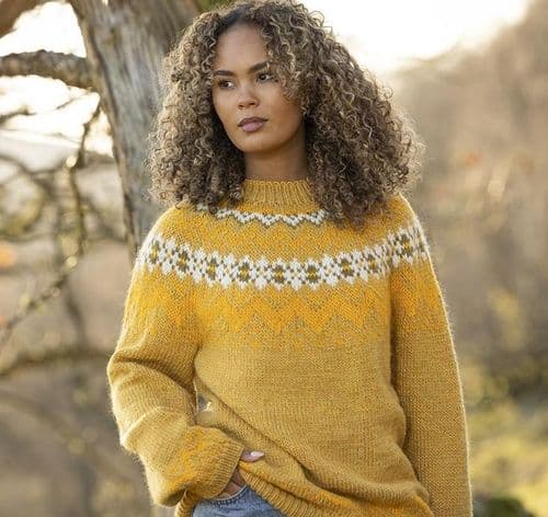 Viking Yarn Ladies Sweater Knitting Pattern in Viking Wool 2601-1aP PDF DOWNLOAD