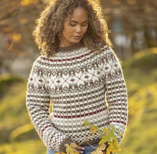 Viking Yarn Ladies Sweater Knitting Pattern in Viking Wool 2601-2P PDF DOWNLOAD